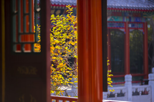 秋景