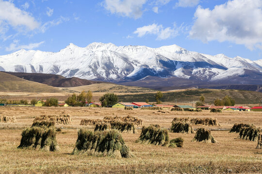 坝上雪景