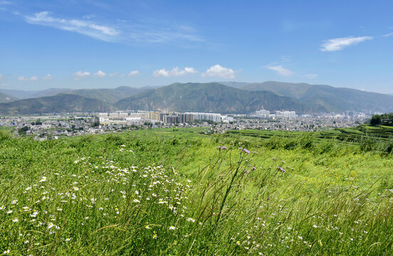 乡村夏日