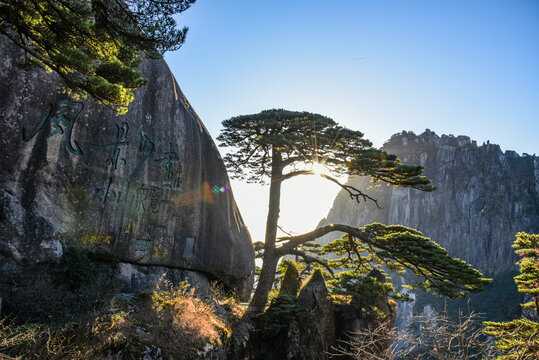 黄山迎客松