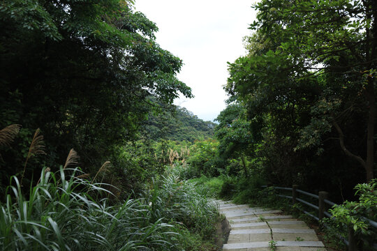 浮山岭上山道路风景