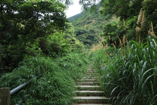 浮山岭上山道路风景