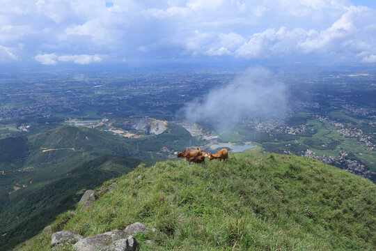 浮山岭山顶风光