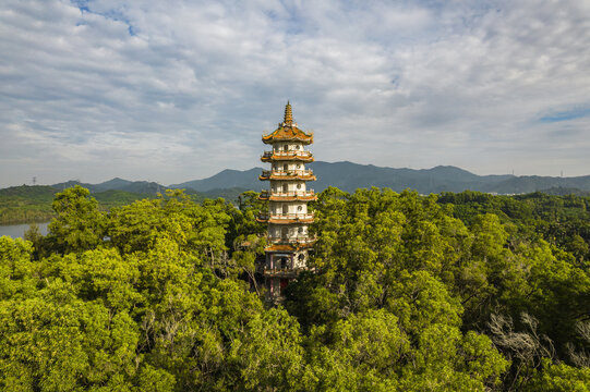 深圳西丽湖塔