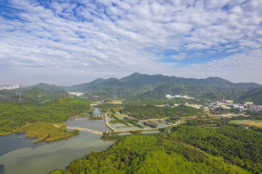 深圳西丽水库