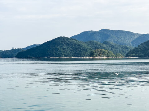 盐田港中央公园海边栈道