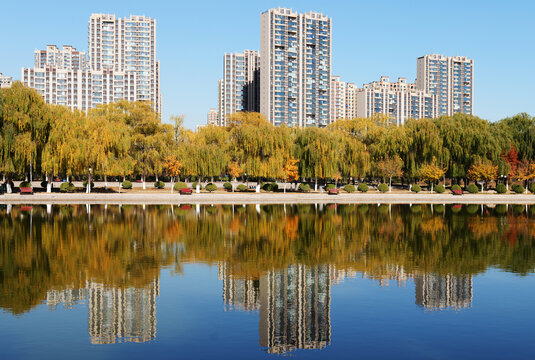 湖边秋景