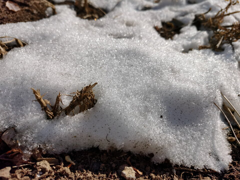 积雪