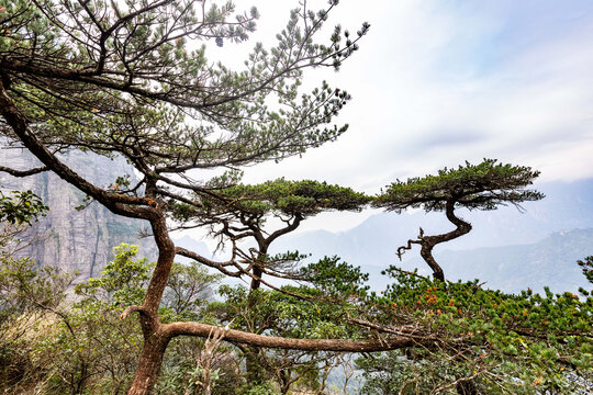 广西金秀五指山景区景观雄奇秀丽