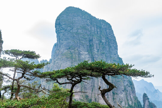 广西金秀五指山景区景观雄奇秀丽