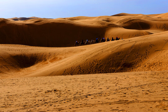 走进沙漠的骆驼队