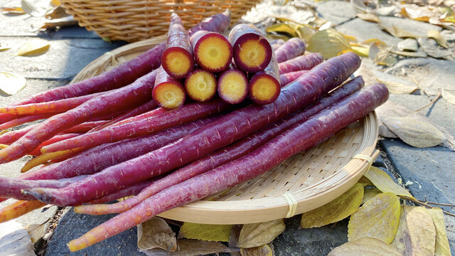 紫玉胡萝卜