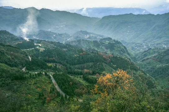 神木山