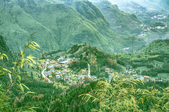 沐川神木山