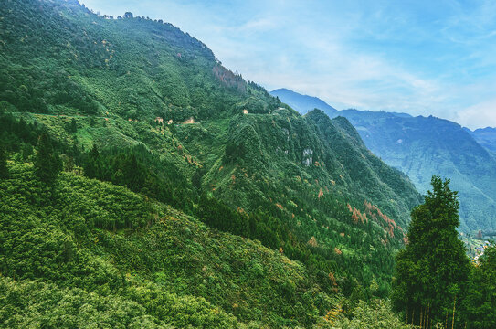 神木山