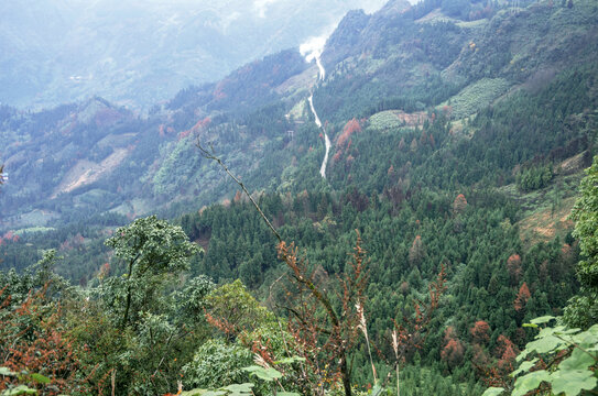 永福镇神木山