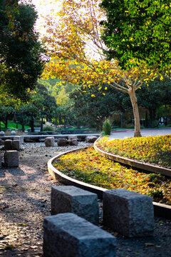 上海世博公园秋景