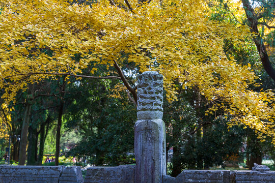 南京明孝陵景区