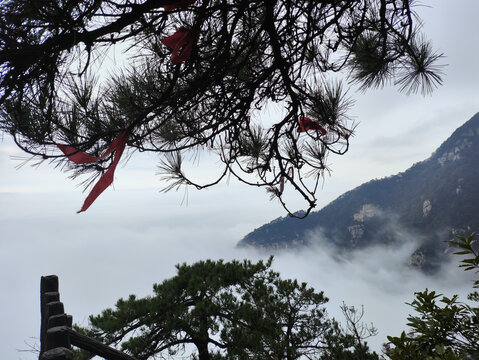 仙之景色