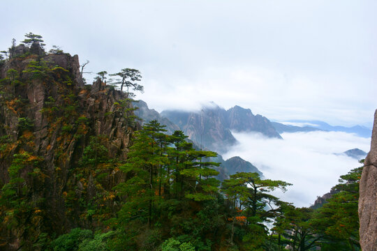 黄山云海