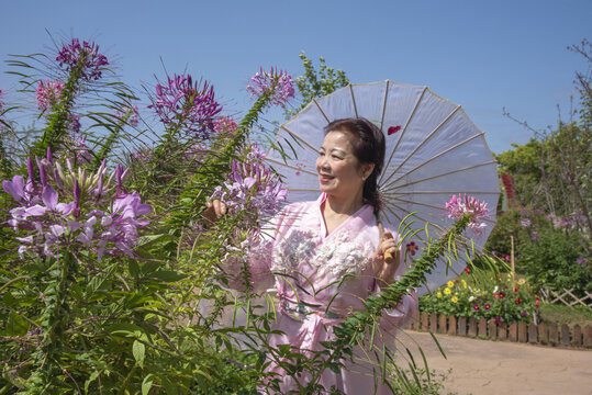 女人花