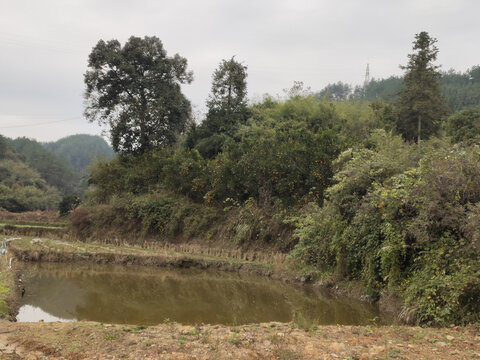 秋天的田野