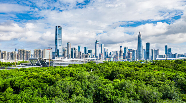 深圳湾公园航拍全景