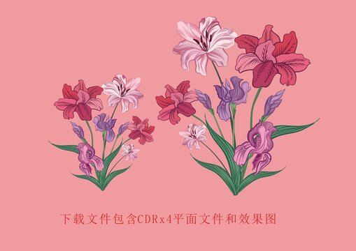 矢量花朵百合绿植花卉