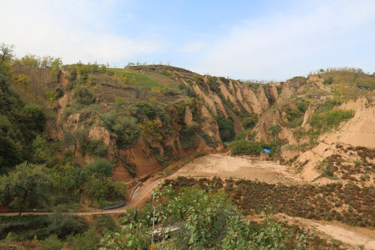 航拍退耕还林绿色山地树林