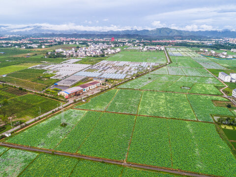 新农村农田高清航拍全景