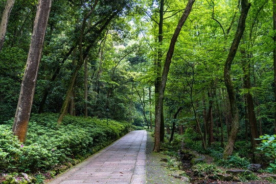 杭州公园风景