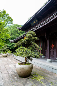 杭州西湖寺庙