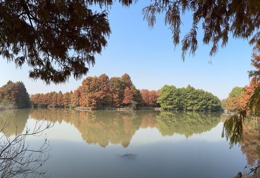 上海海湾国家森林公园