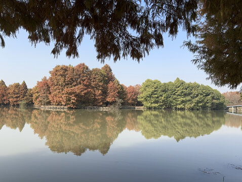 上海海湾国家森林公园