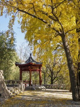 青岛华严寺