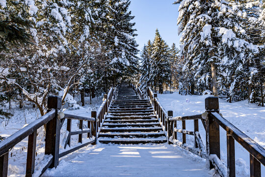 雪后的中国雪乡冬季风景