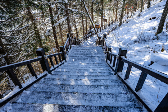 雪后的中国雪乡冬季风景