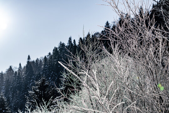 中国雪乡羊草山风景区森林雪景