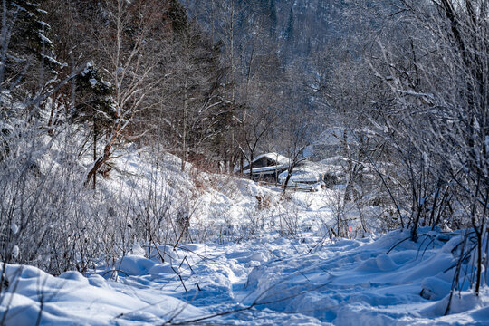 中国雪乡羊草山风景区雪后风景