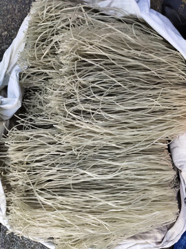 红薯粉