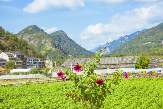 山峰群山