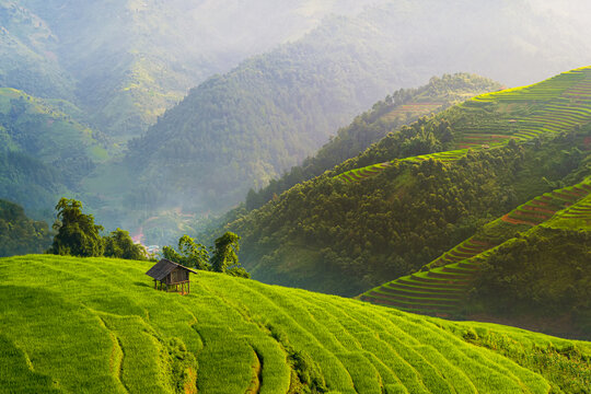 茶山