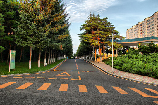 延边大学校园道路