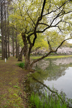 江苏无锡鼋头渚风景区