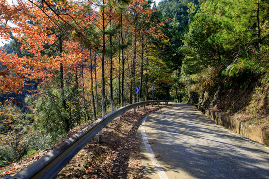 秋天的山间公路