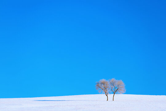 雪原双生树