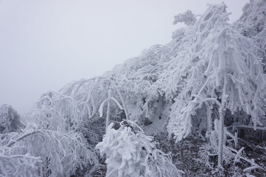 衡山雪景