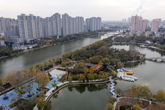 荆河公园冬景