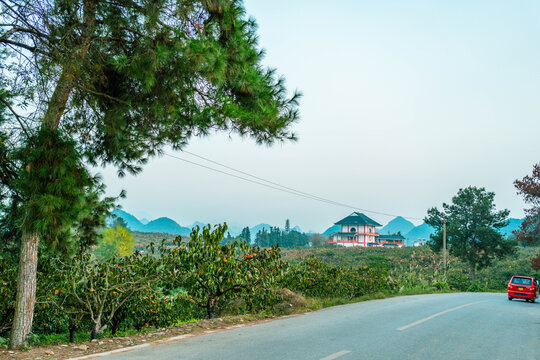 柏油马路上的红色小汽车