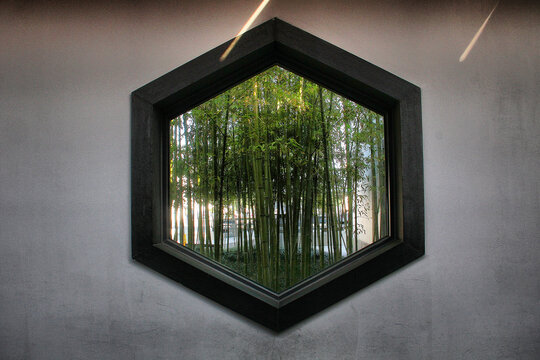 苏州博物馆六边形窗竹林